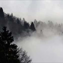 Cesuna (Vicenza)