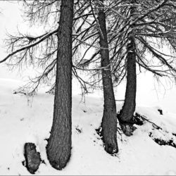 Val Formica (Asiago)